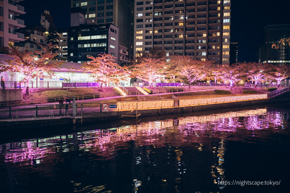 舉辦彩燈活動的五反田海濱廣場