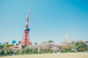 東京鐵塔和櫻花