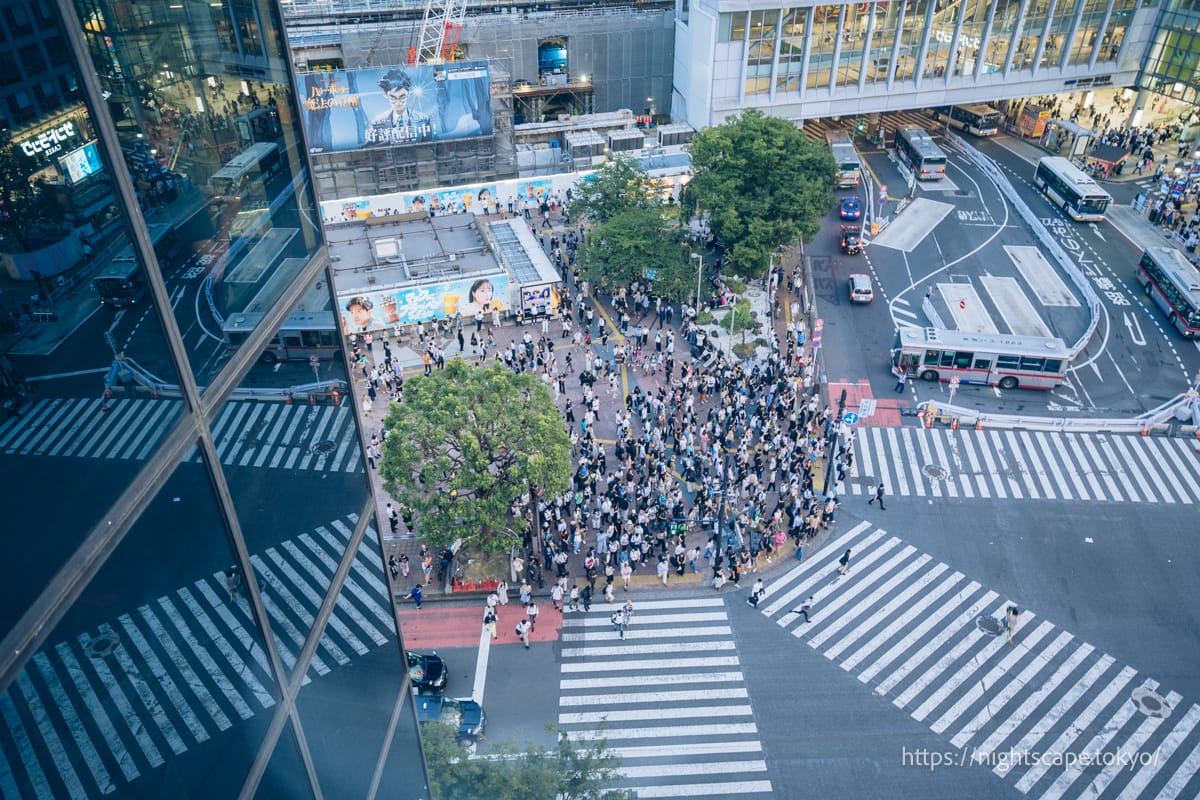 從屋頂觀景台看到的 Magnet by Shibuya 109 Scramble Crossing
