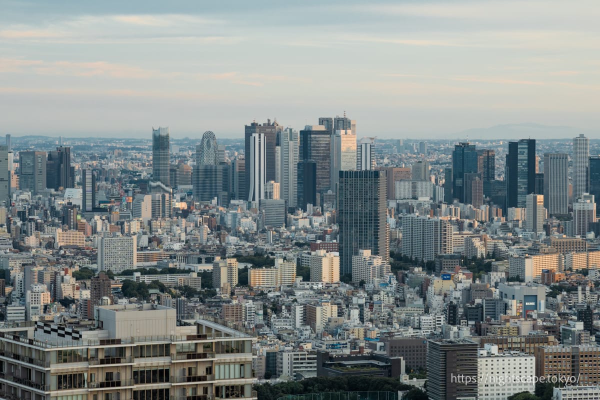面向新宿的城市景觀