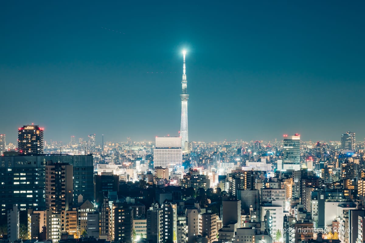從文京市民中心展望室看到的東京晴空塔