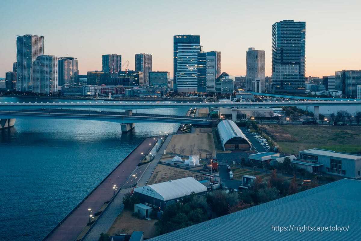 晴海大橋和新豐洲櫻花廣場