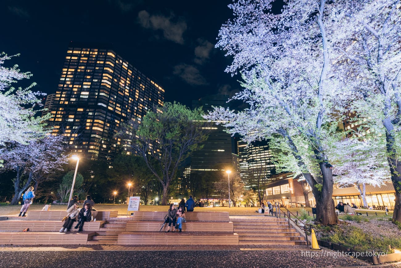 人們在新宿中央公園放鬆