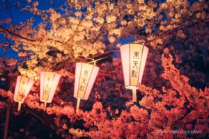上野公園展示的紙燈籠
