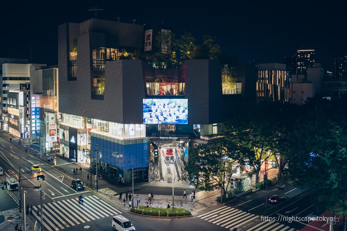 從東急Plaza原宿Harajuku的屋頂花園眺望夜景