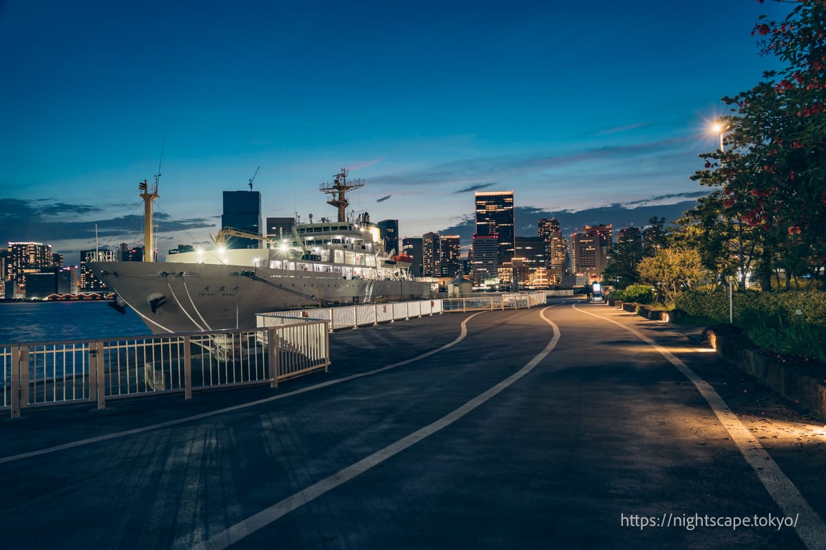 停靠在 Harumi Wharf 的船舶。