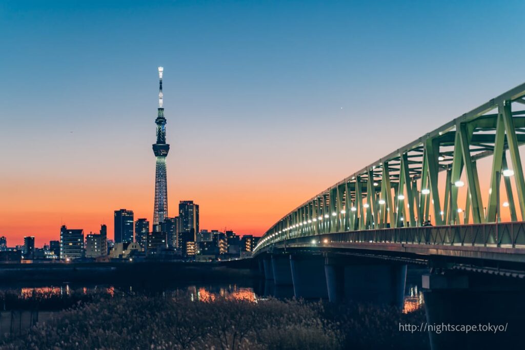 ライトアップされた東京スカイツリーと木根川橋