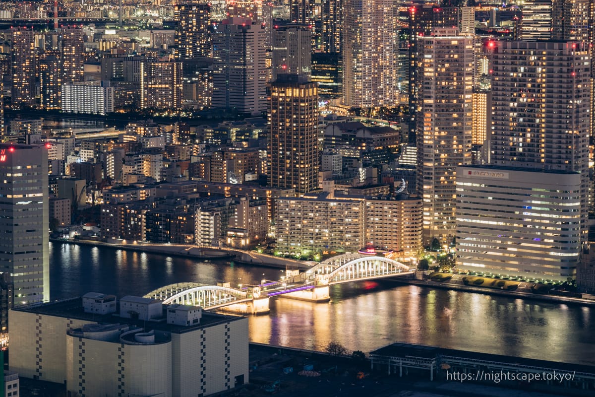 Night view from Caretta Shiodome