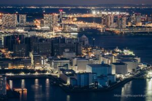 Night view of Tokyo Bay area from Caretta Shiodome