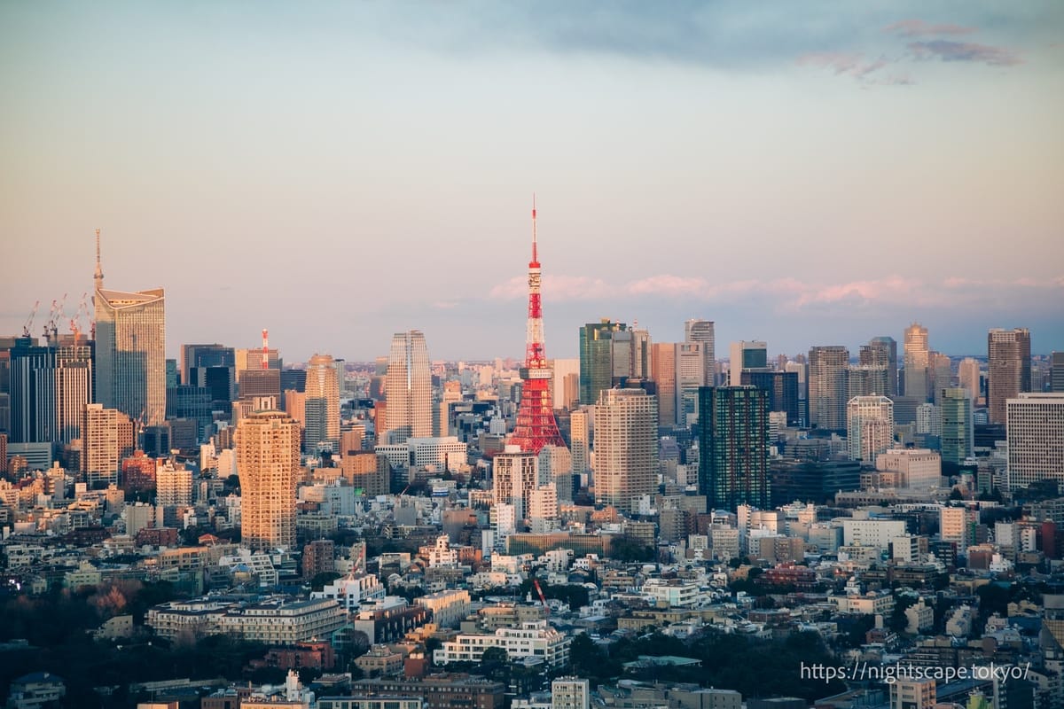 夕日に染まる東京タワー