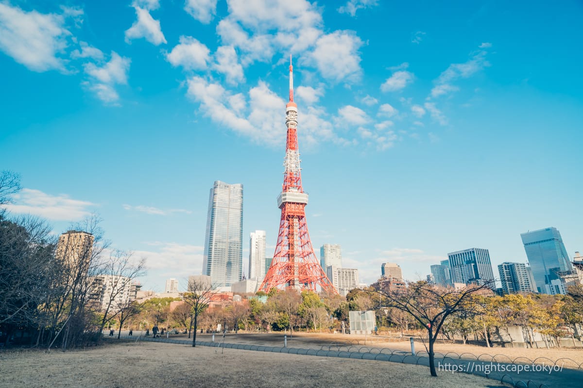 プリンスパークタワー東京から眺める東京タワー（朝）