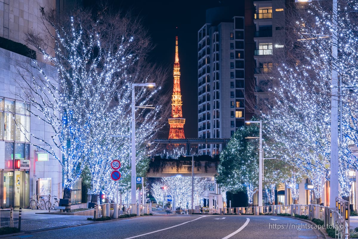 六本木けやき坂通りのイルミネーションと東京タワー