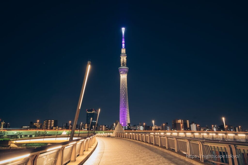 桜橋の上から眺める東京スカイツリー