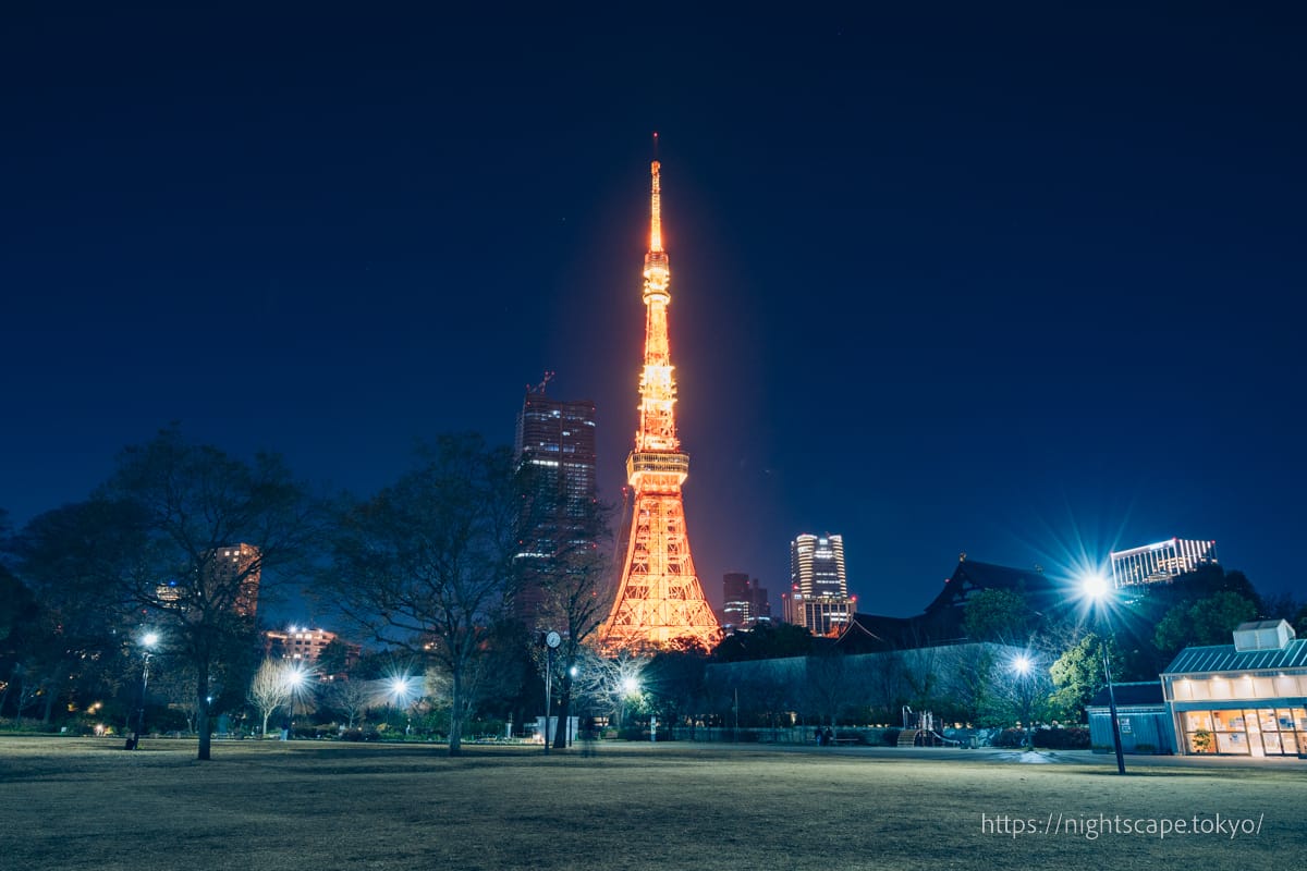 Tokyo Tower viewed from Shiba Park No. 1