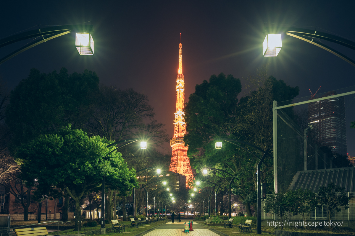 芝公園4号地から眺める東京タワー