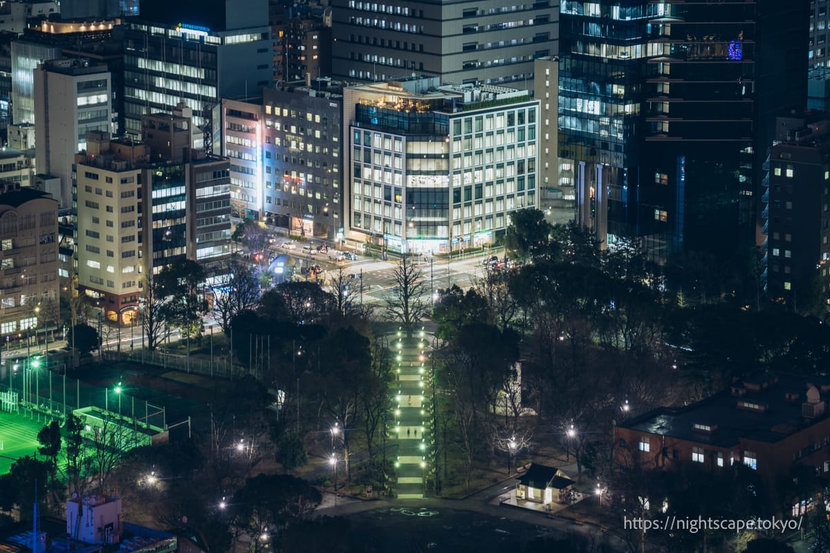 東京タワー展望台から眺める芝公園4号地