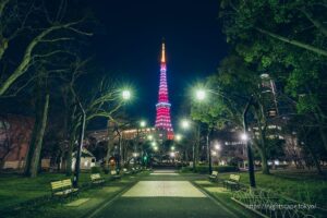 東京タワー65周年の特別ライトアップ