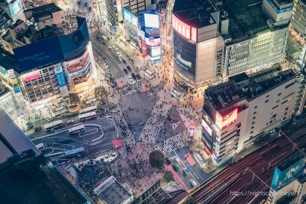 渋谷スクランブル交差点を眺める