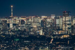 丸の内、霞ヶ関エリアの高層ビル群と東京スカイツリー