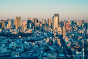 港区方面の高層ビル群と東京タワーの夕景
