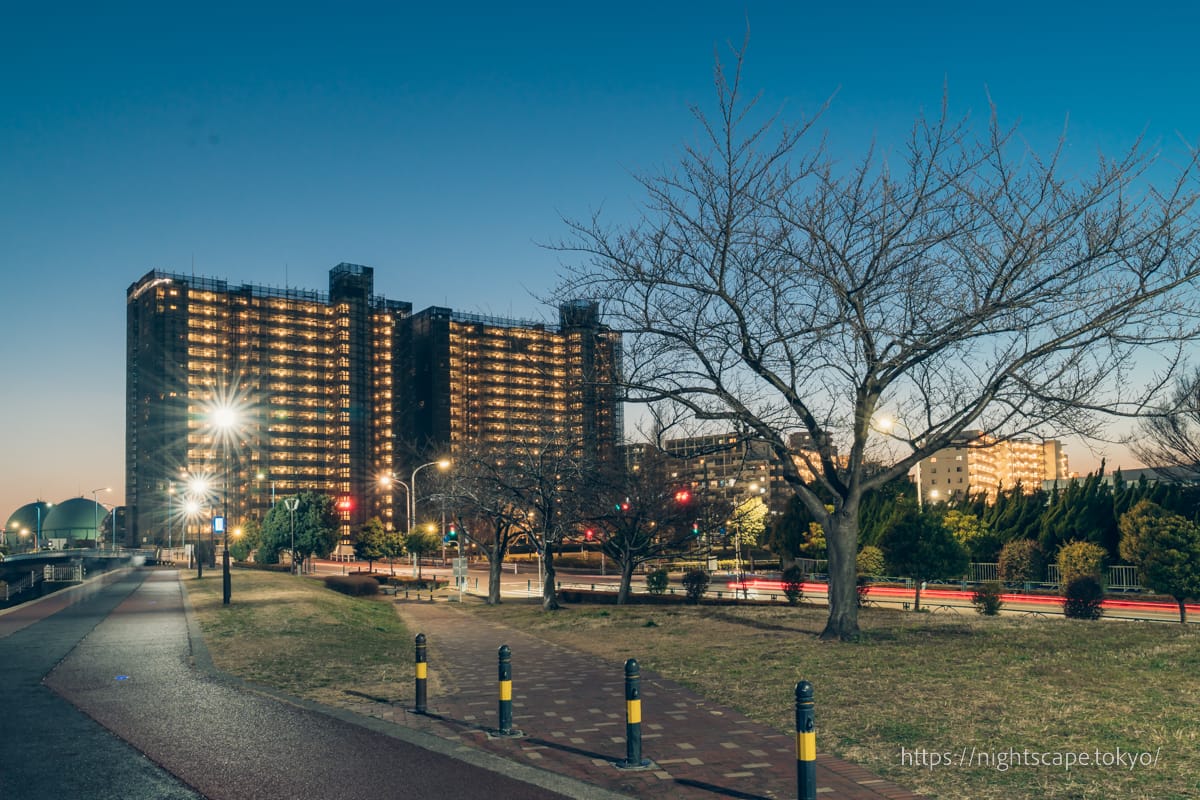 汐入公園の雰囲気（夜）