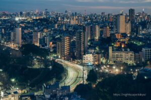 Night view from Kitatopia