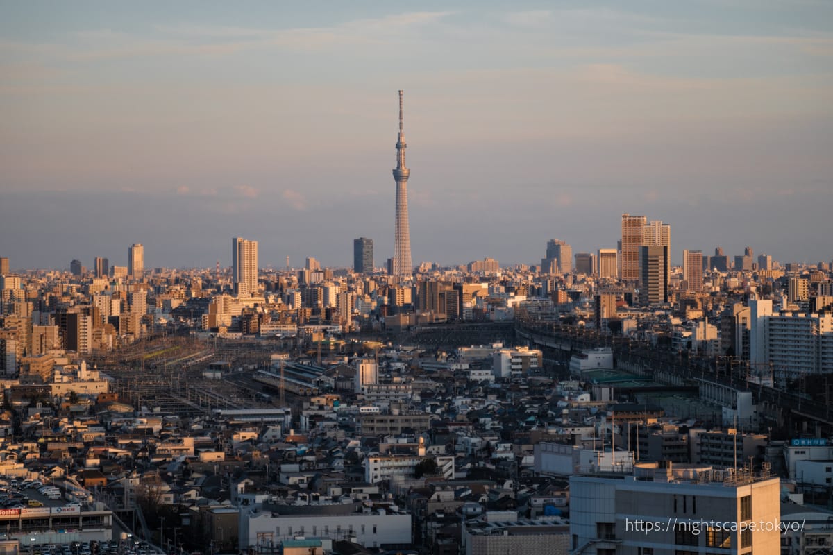 北とぴあから眺める東京スカイツリー