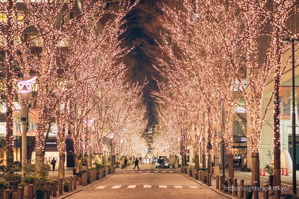 Marunouchi Nakadori Avenue in shining champagne gold.