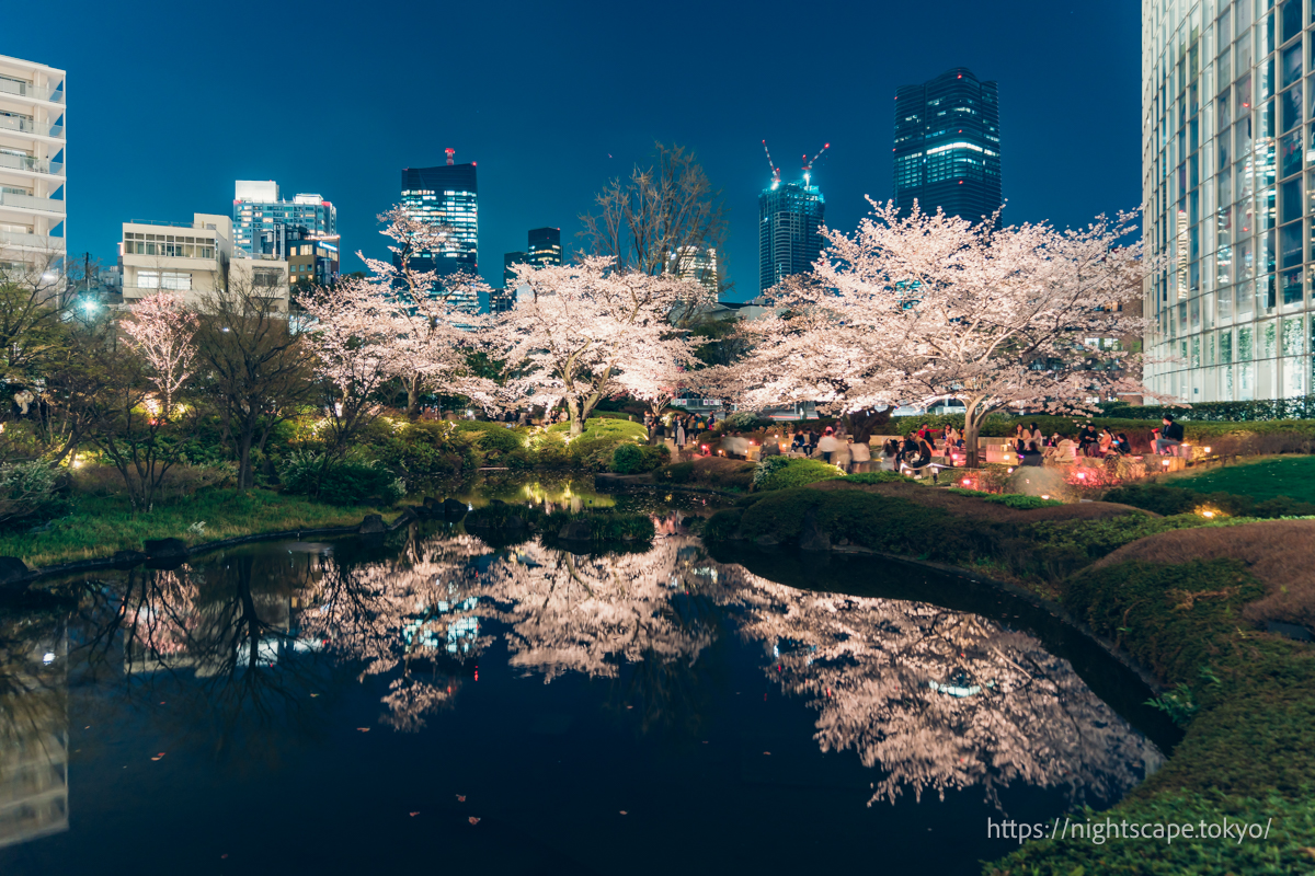 毛利池に反射する夜桜のライトアップ