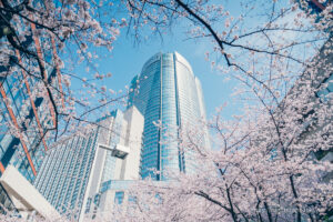Roppongi Hills and Cherry Blossoms
