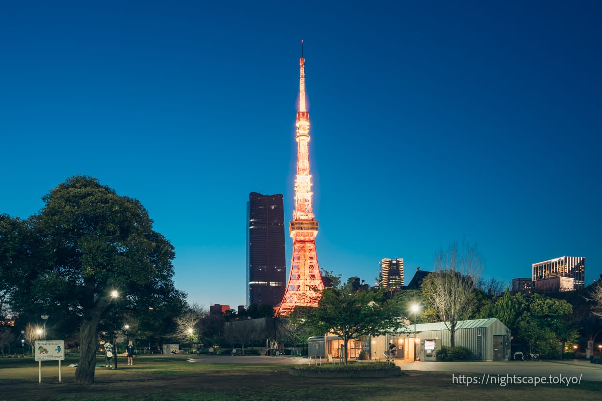 芝公園1号地から眺める東京タワー