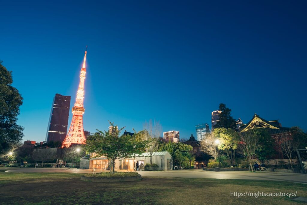 芝公園1号地から眺める東京タワー