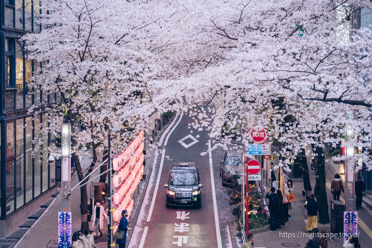 Sakura-street seen from the pedestrian bridge