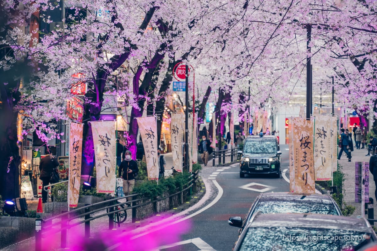 Cherry Blossom Festival banner
