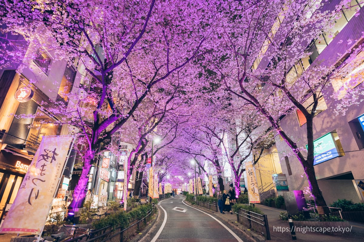 渋谷桜丘のさくら坂を見上げた様子