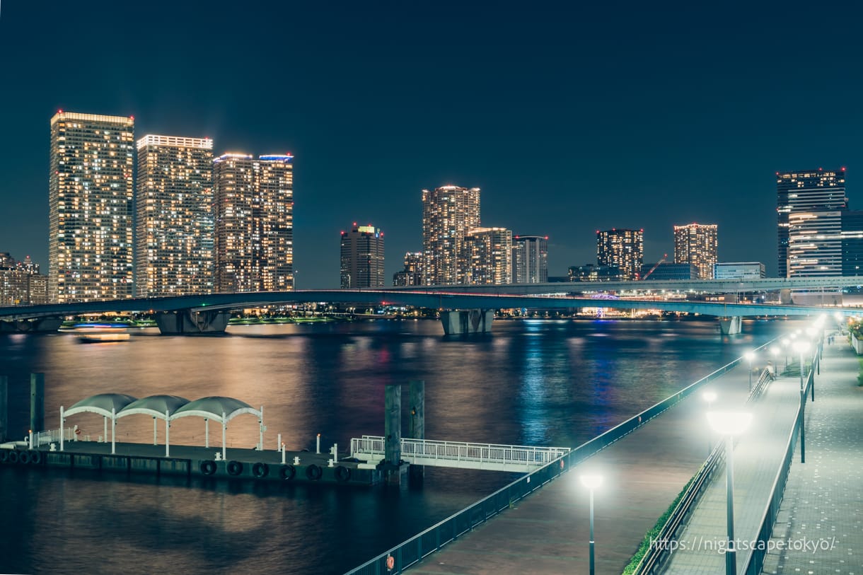 豊洲大橋から眺める豊洲方面の夜景