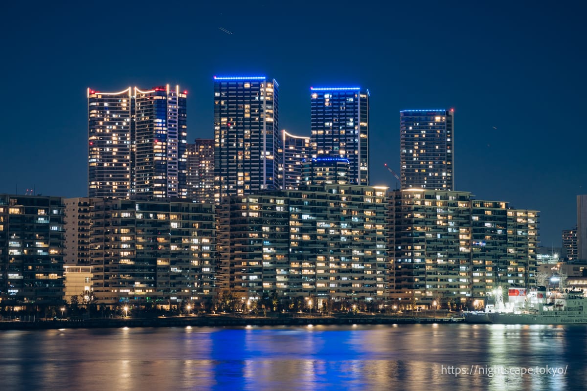 晴海エリアの夜景