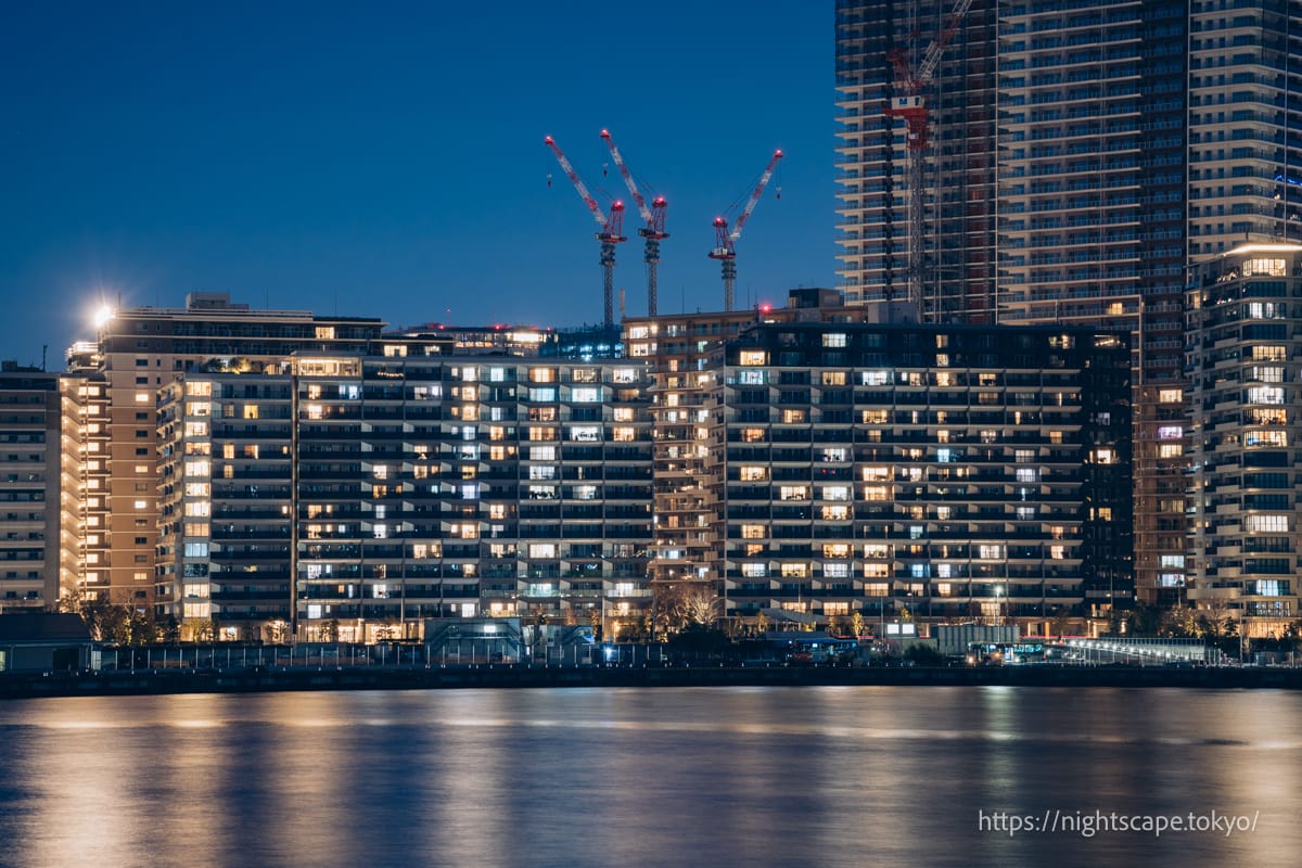 晴海エリアの夜景