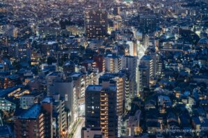 駒留通りの夜景