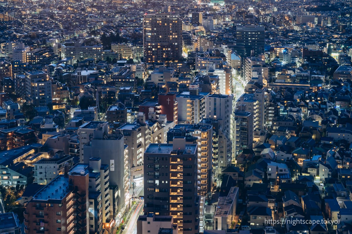 駒留通りの夜景