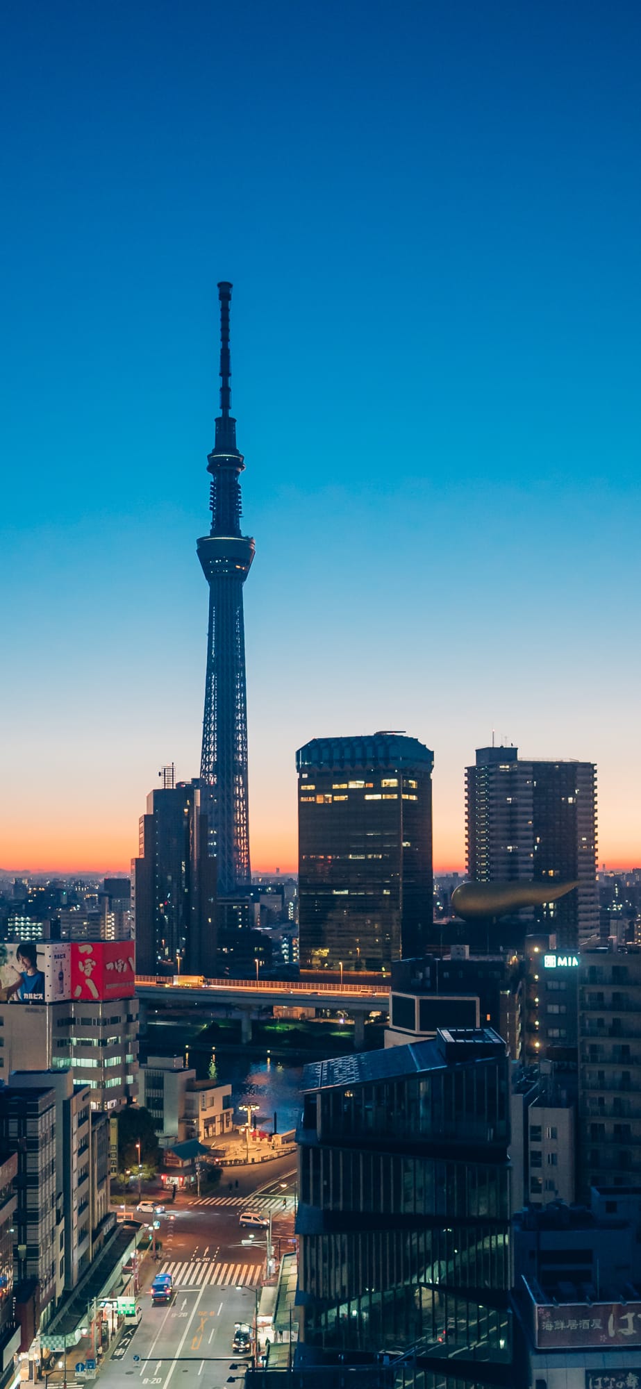 Tokyo Sky Tree before dawn（Free smartphone wallpaper）