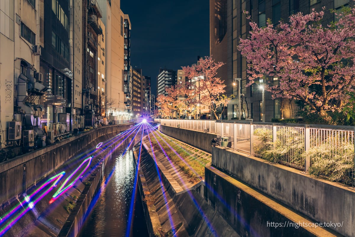 ライトアップされる渋谷川