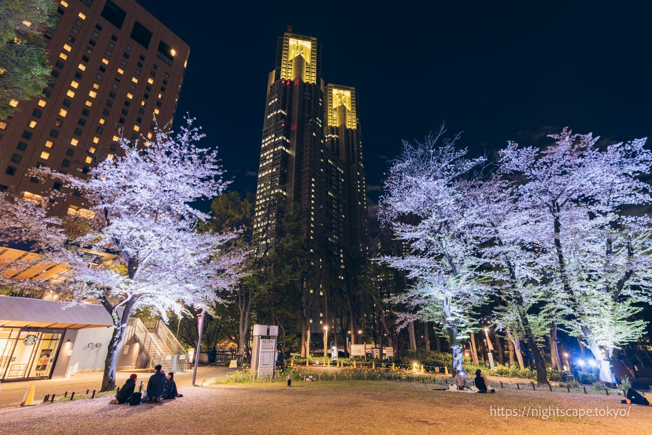 ライトアップされる東京都庁と夜桜