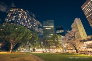 新宿中央公園の夜景