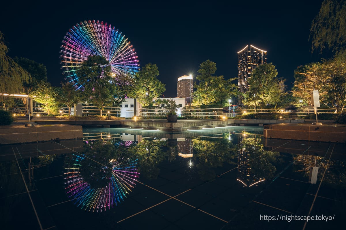 クイーンズパークの池に夜景が映る様子