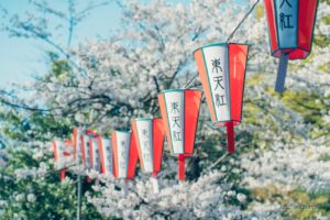 上野公園に飾られるぼんぼり