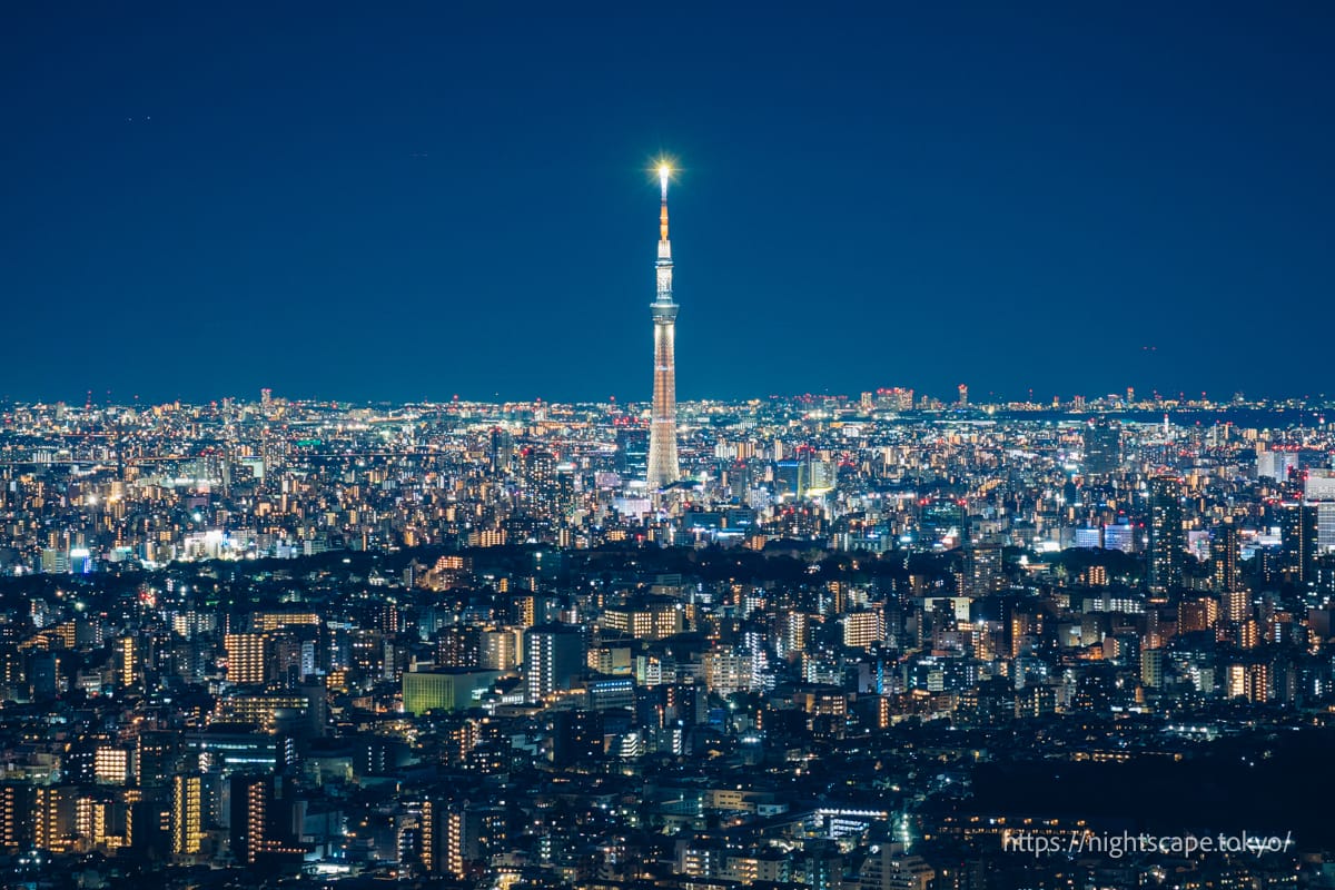 スカイツリーと浅草方面の夜景