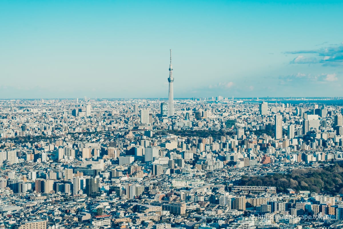 スカイツリー方面の景色