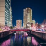 gotanda-illumination-1-1-