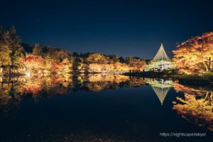 水面にライトアップされる紅葉が映る様子